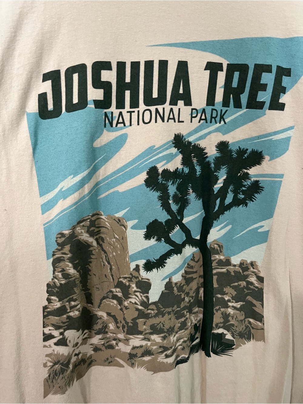 Joshua Tree National Park  Gildan Softstyle Graphic T-Shirt | Size 2XL